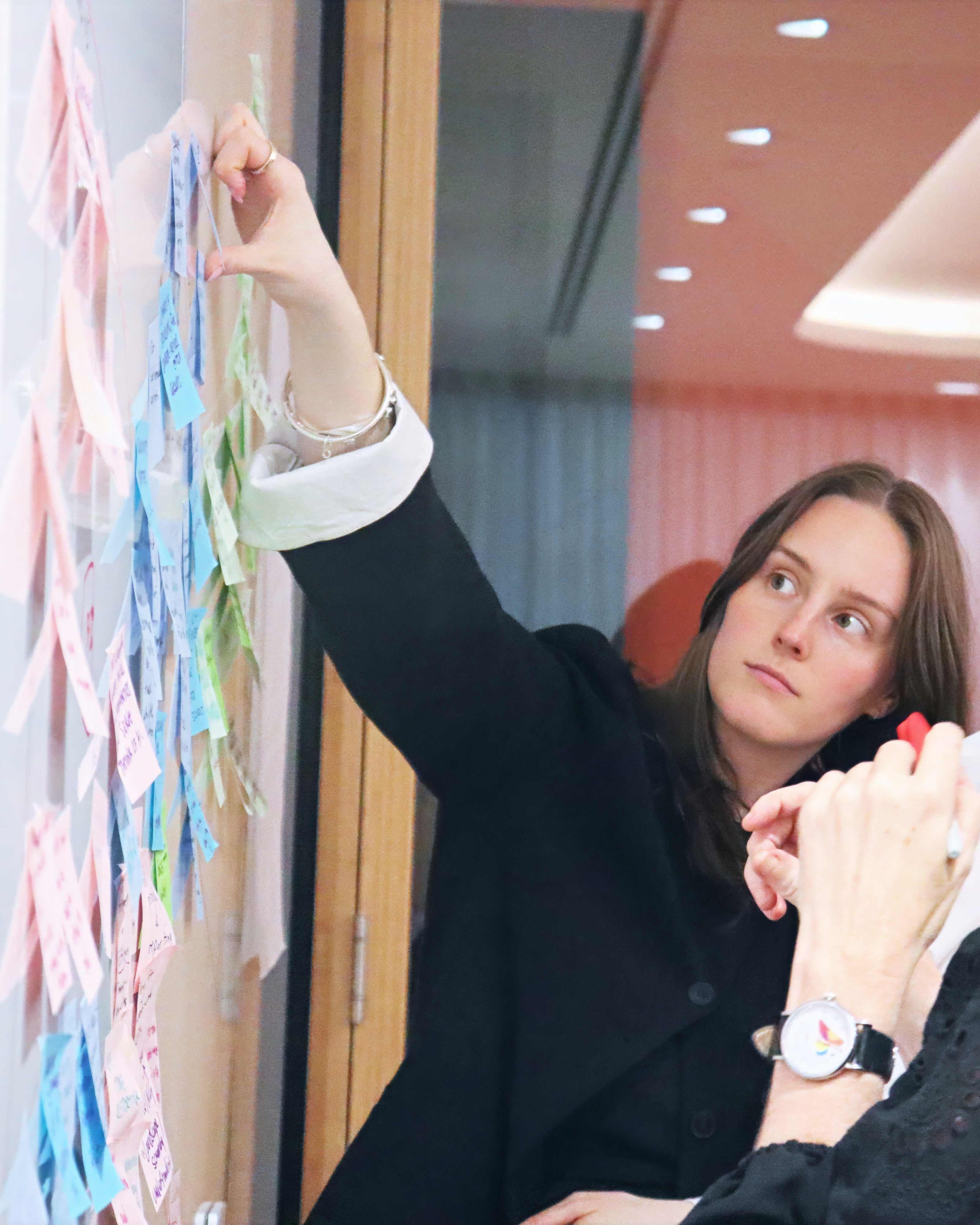 IMG 2961 Edit cropped